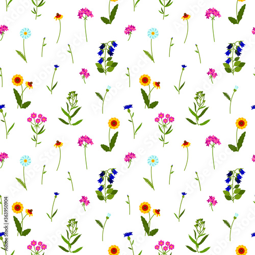 Meadow wildflowers colorful seamless pattern. Summer design with Echinacea, chamomile, cornflower, bellflower, lady's purse, yarrow for textile, fabric, wrapping paper, prints. Vector illustration