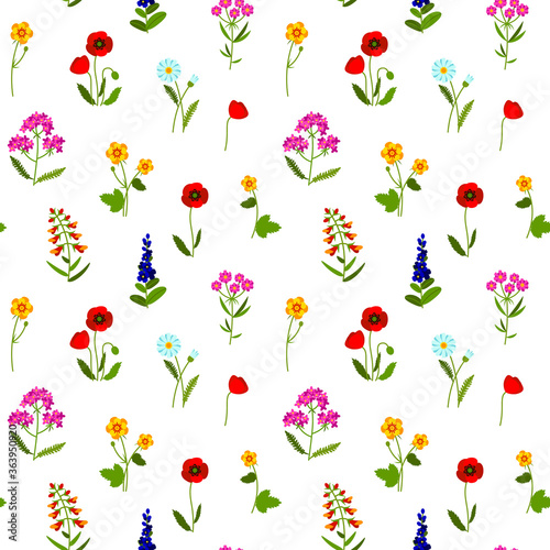 Meadow wildflowers colorful seamless pattern. Summer design with chamomile, yarrow, lavender, snapdragon, poppy, buttercup for textile, fabric, wrapping paper, prints. Vector illustration