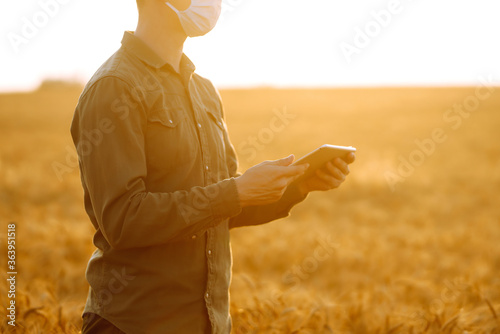 Farmer in sterile medical mask on golden wheat field with a tablet in his hands. Agriculture and harvesting concept. Covid-19.