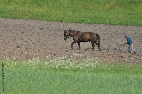 Polska - Mazury - Warmia. Orka.