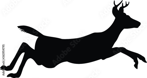 Deer Jumping
Deer, black silhouette, white background
