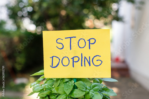 Handwriting text writing Stop Doping. Conceptual photo quit the use of banned athletic performanceenhancing drugs Plain empty paper attached to a stick and placed in the green leafy plants photo