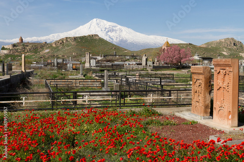 Armenian cross stones known as Khachkar tomb stones with Khor Virap Monastery and Mount Ararat in the background in Armenia photo