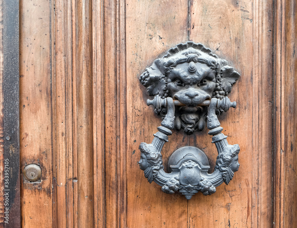 vintage lion head knocker on natural wood door close up