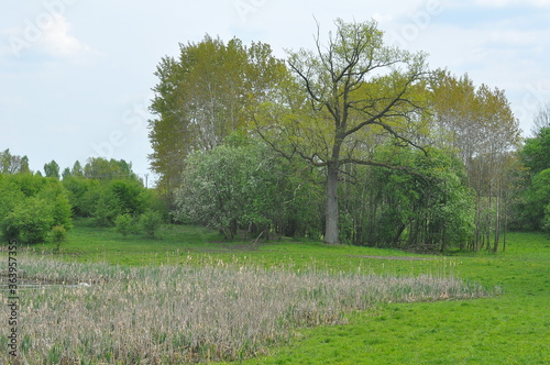 Polska - Mazury