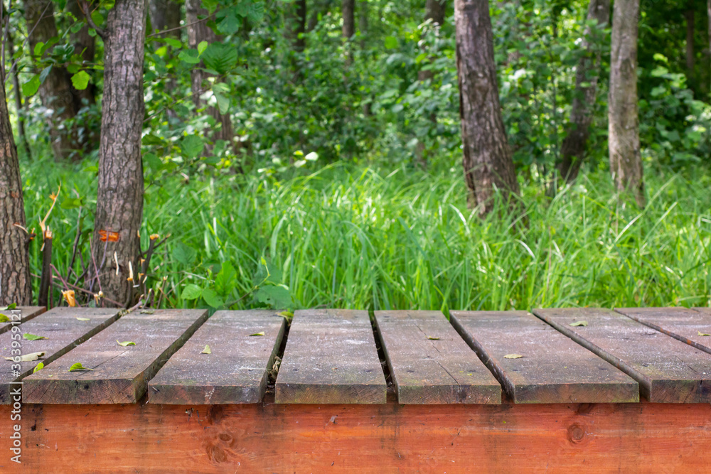 Wood flooring in the forest. Horizontal background. Wood flooring in the forest. Horizontal background.