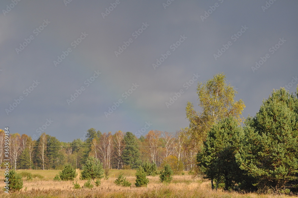 Fototapeta premium Polska - Mazury - Warmia. Krajobraz. Tecza.