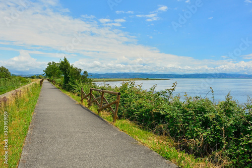 A cycle lane in the wetlands of Isola Della Cona in Friuli-Venezia Giulia  north east Italy 