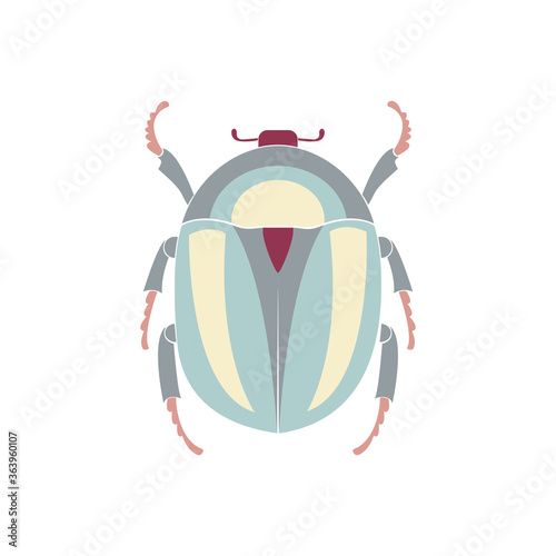 Bug beetle view from above. Isolated insect cartoon vector illustration in flat style