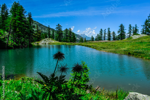 LAGO RESILE
