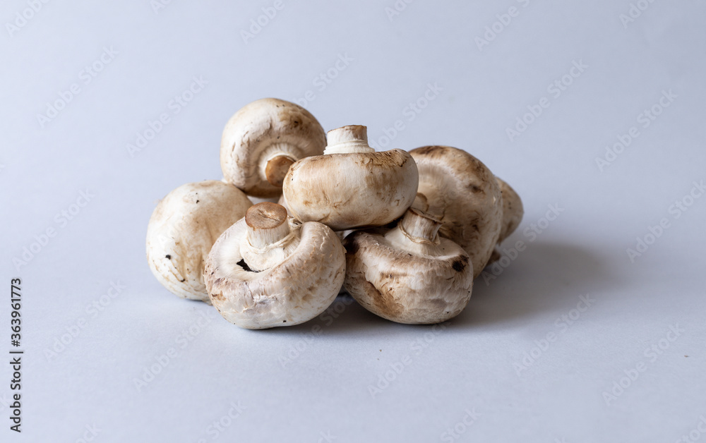 Mushrooms lies on a gray background. Champignons photographed at close range. . High quality photo Mushrooms lies on a gray background. Champignons photographed at close range. . High quality photo