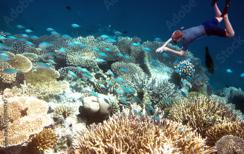 Maldives. Man with mask and tube at ocean and tropical fishes in corals...