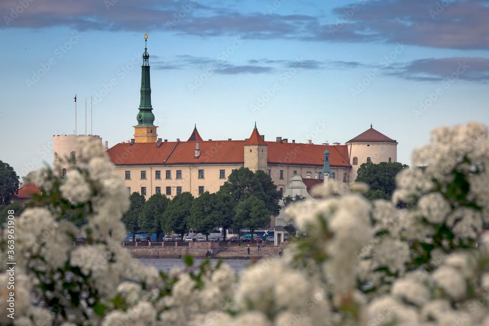 Riga, Latvia. View of Riga Castle and flowering bush foreground