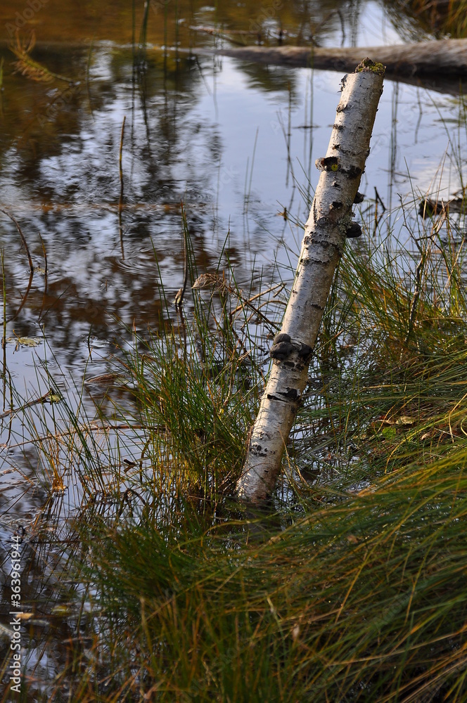 Fototapeta premium Polska - Mazury - Warmia. Krajobraz.
