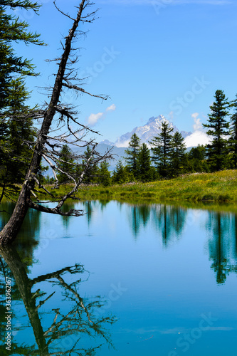 LAGO RESILE