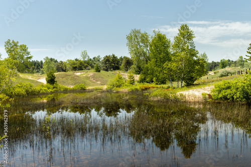 A pond among the dunes reflect the trees and blue sky in a state park along lake michigan in Wisconsin