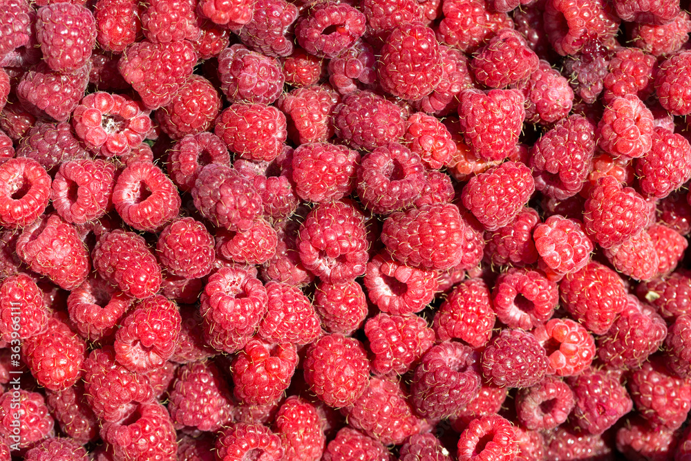 Macro photo of fresh raspberries. Background patern of sweet red raspberries. Macro photo of fresh raspberries. Background patern of sweet red raspberries.