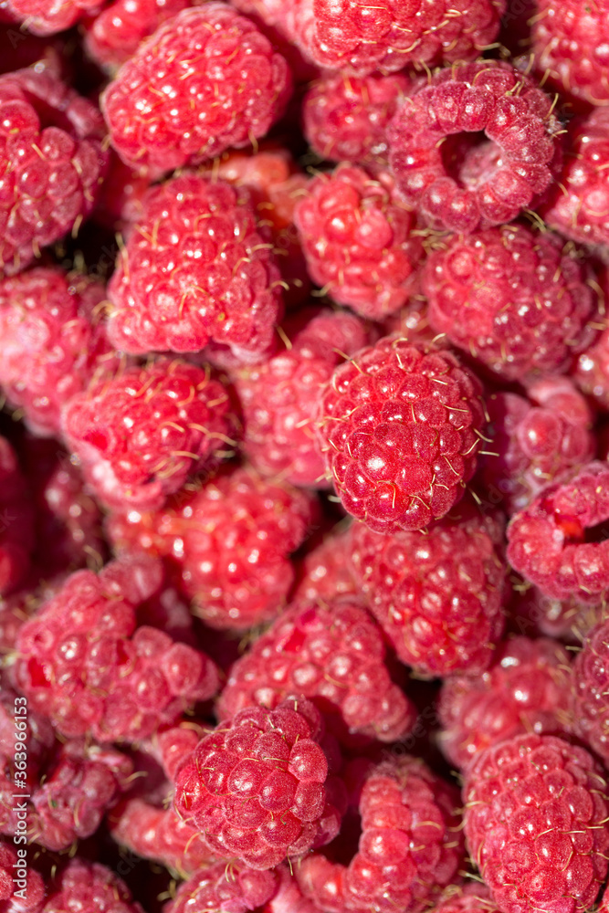 Macro photo of fresh raspberries. Background patern of sweet red raspberries. Macro photo of fresh raspberries. Background patern of sweet red raspberries.