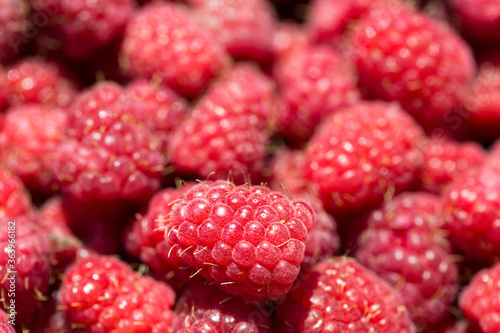 Macro photo of fresh raspberries. Background patern of sweet red raspberries.