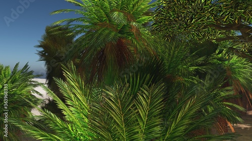 Palms on the tropical beach 3d rendering