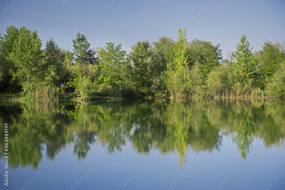 Reflection of the forest on a peaceful surface of the lake