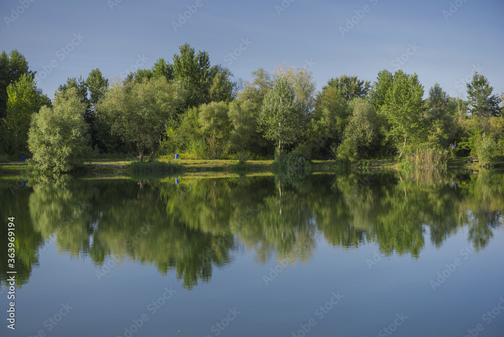 Reflection of the forest on a peaceful surface of the lake Reflection of the forest on a peaceful surface of the lake