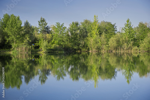 Reflection of the forest on a peaceful surface of the lake