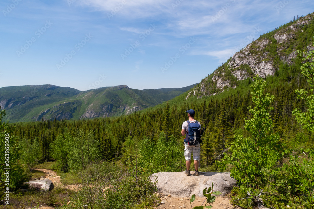 Les Grands-Jardins national park, Canada - june 2020 : back view of a hiker admiring the landscape