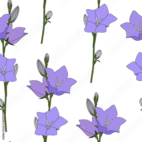 Hand drawn Campanula Flower seamless pattern background. Vector Illustration