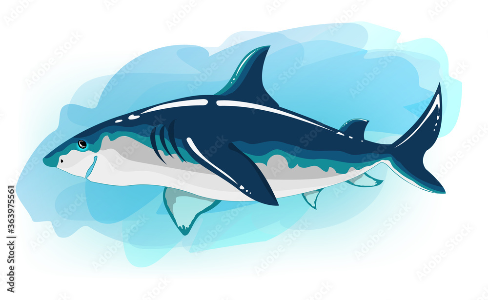 Obraz premium Shark cartoon. The illustration is colorful and vibrant. It can be used without a blue background. Stylized character for books, board games, stickers. Can be used as a print for t-shirts and clothes.