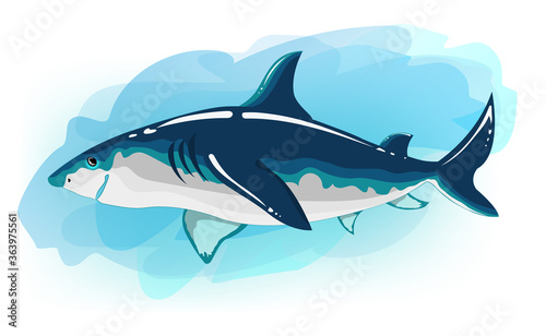 Shark cartoon. The illustration is colorful and vibrant. It can be used without a blue background. Stylized character for books  board games  stickers. Can be used as a print for t-shirts and clothes.