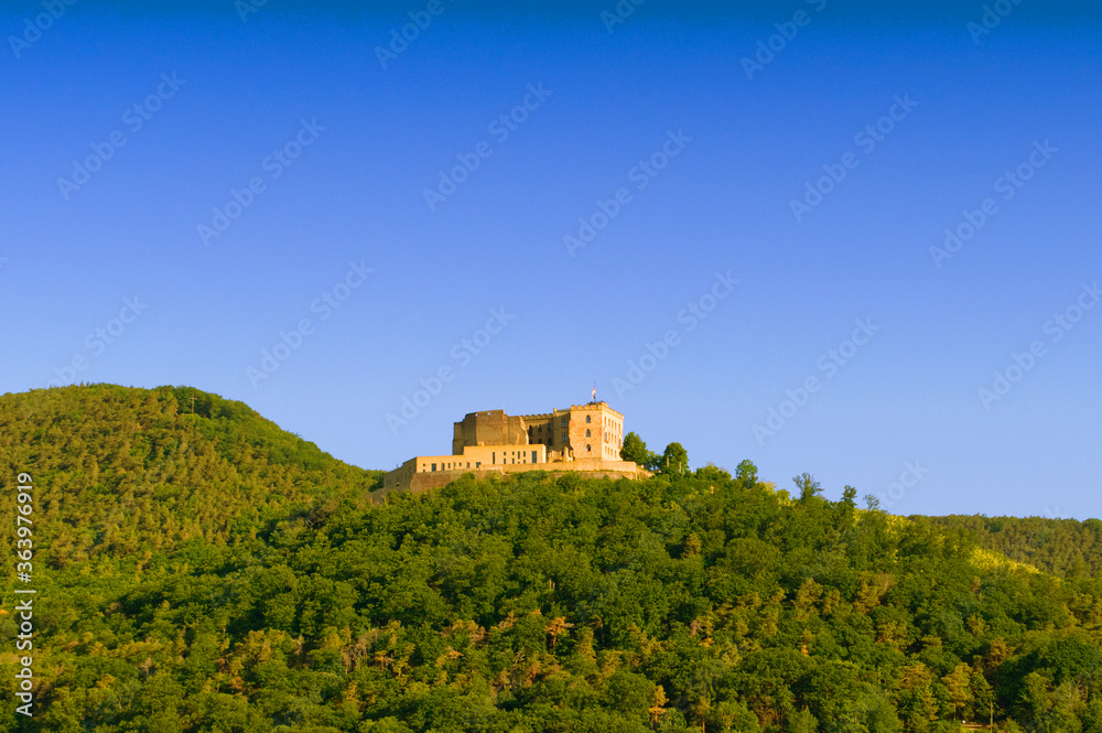Hambacher Schloss im Frühsommer bei blauem Himmel