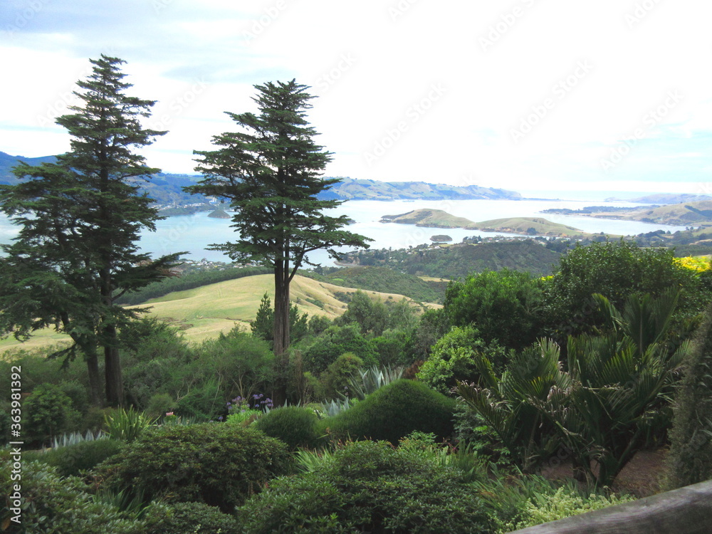 View of Otago Harbor, and Port Charmers, near Dunedin, New Zealand.