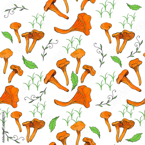 Mushrooms edible vegetarian organic mushrooms seamless pattern, vector illustration. Chanterelles, boletus, orange-cap boletus mushrooms.