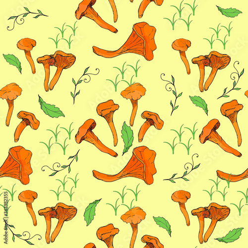Mushrooms edible vegetarian organic mushrooms seamless pattern, vector illustration. Chanterelles, boletus, orange-cap boletus mushrooms.
