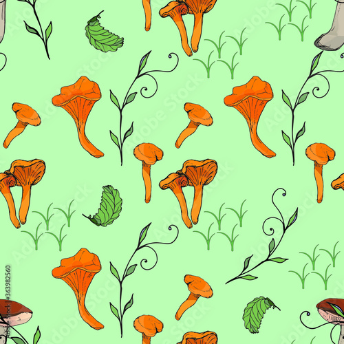 Mushrooms edible vegetarian organic mushrooms seamless pattern, vector illustration. Chanterelles, boletus, orange-cap boletus mushrooms.