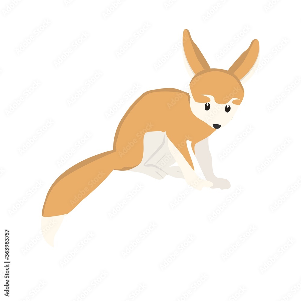 Fennec Illustration Fennec Illustration