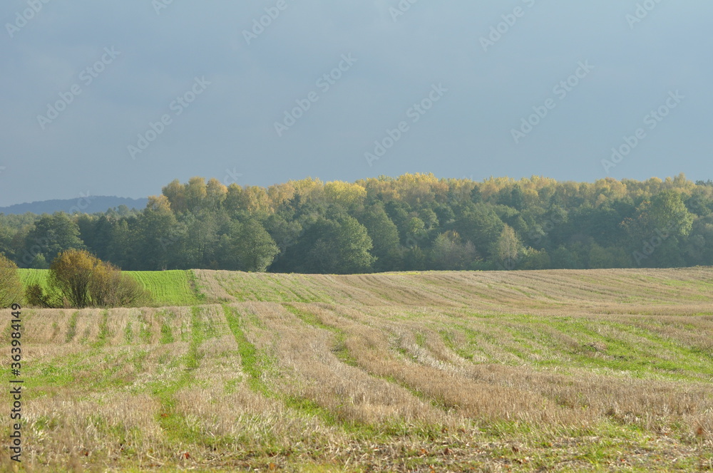 Fototapeta premium Polska - Mazury - Warmia. Krajobraz.