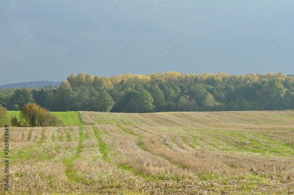 Polska - Mazury - Warmia. Krajobraz.