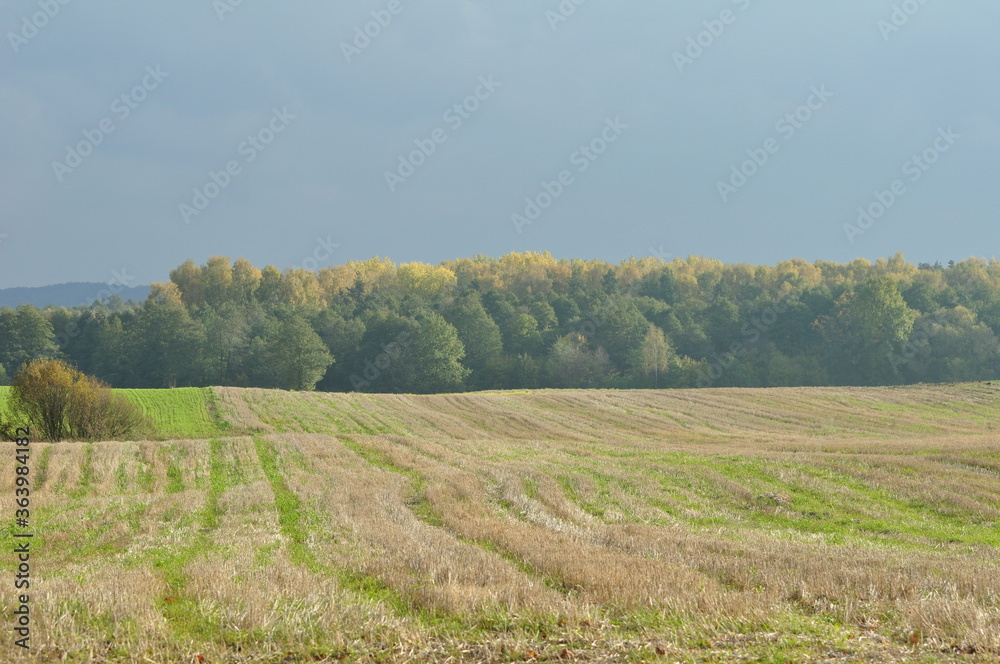 Polska - Mazury - Warmia. Krajobraz.