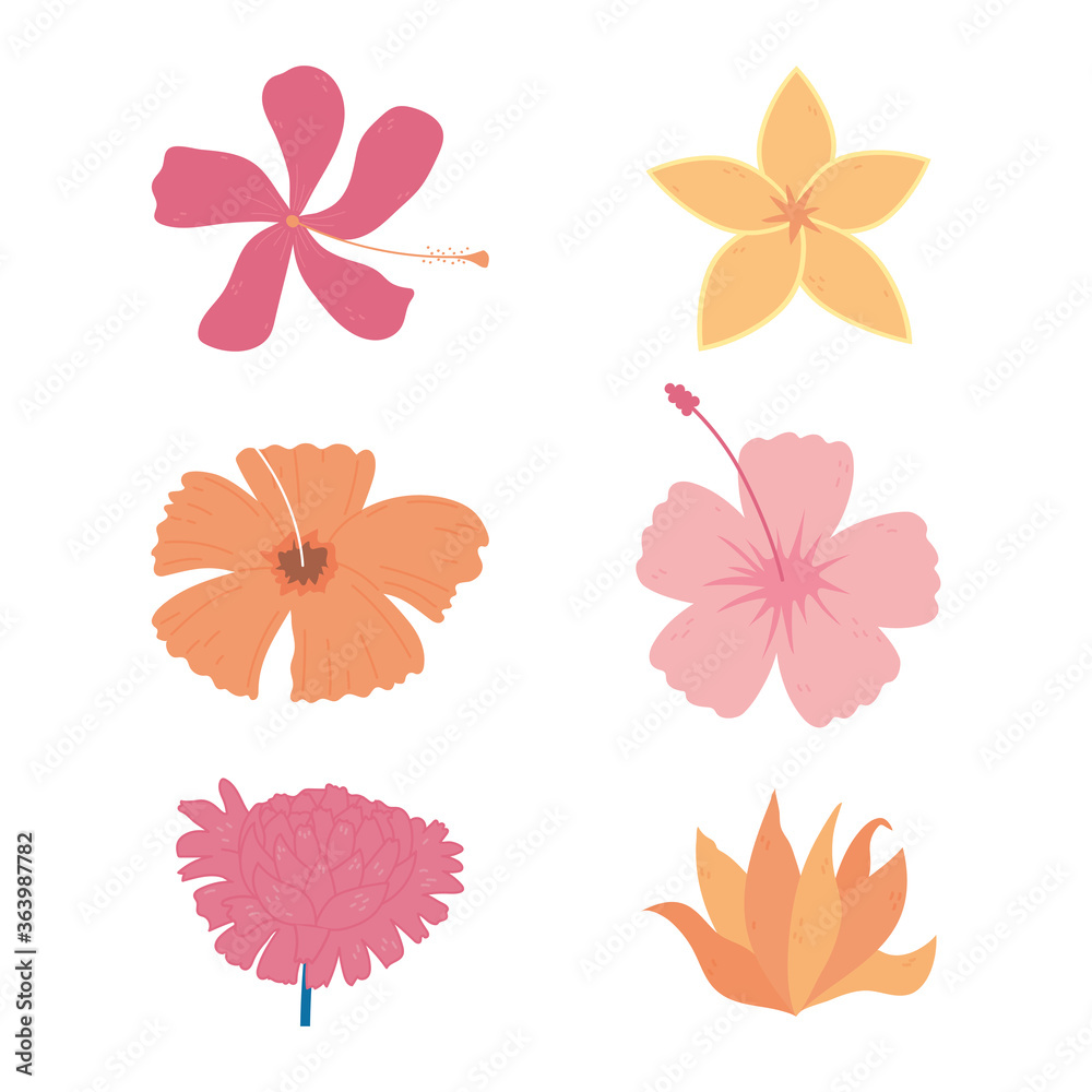 flowers decoration flourish nature floral design icons