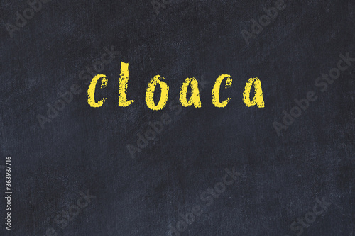 Tableau sur toile Black chalkboard with inscription cloaca on in
