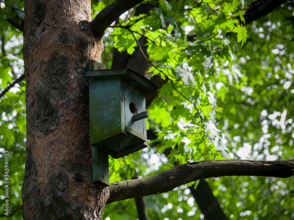 birdhouse on the tree in the park