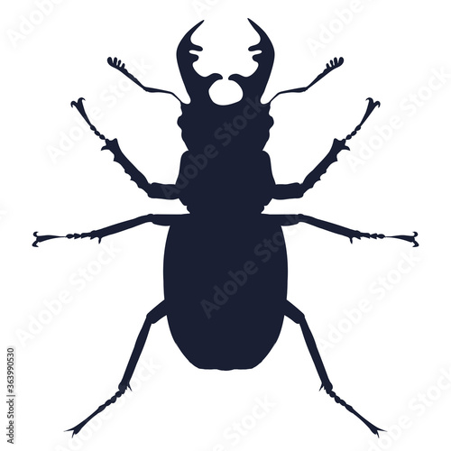 Vector detailed silhouette of deer beetle