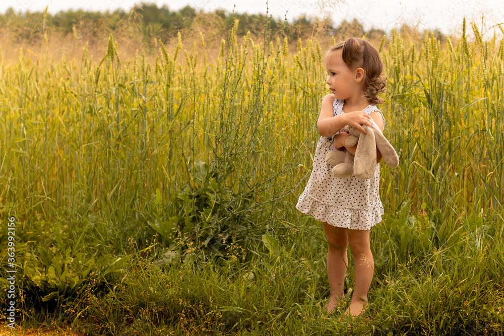 Little cute girl with a plush hare in a light dress 1-3 in the field of spikelets of rye