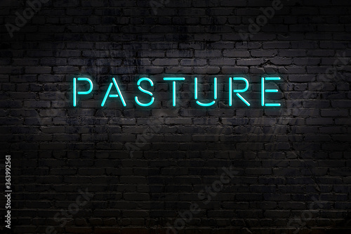 Neon sign. Word pasture against brick wall. Night view photo