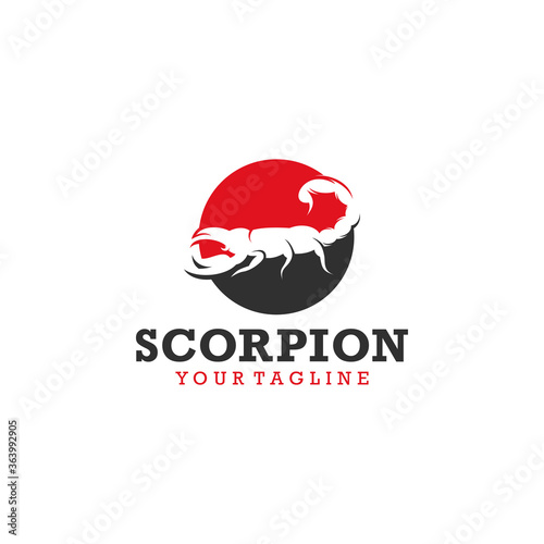 Scorpion logo design template vector Illlustration