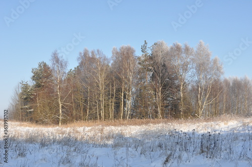 Wallpaper Mural Polska - Mazury - Warmia. Krajobraz. Torontodigital.ca