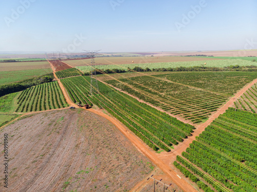Aerial image of coffee plantation in Brazil © Murilo