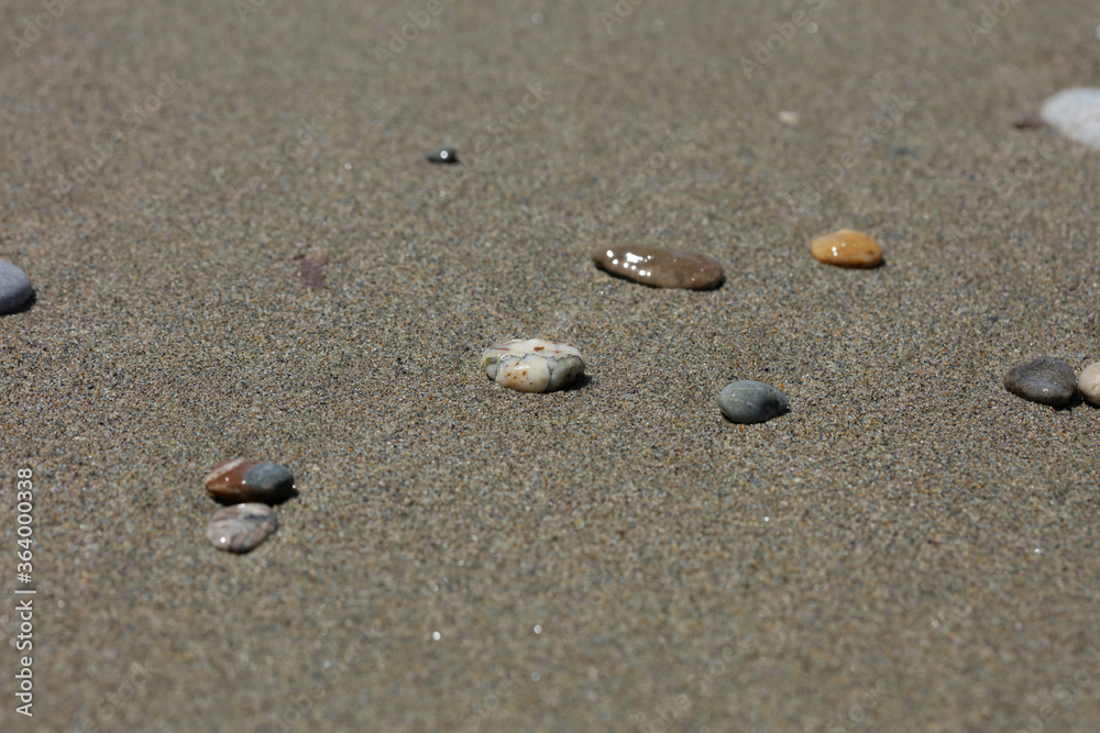 Beach ground life macro background covid-19 june season creta island greece high quality prints Beach ground life macro background covid-19 june season creta island greece high quality prints